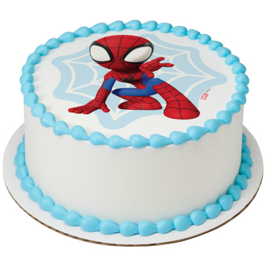 MARVEL Spidey and His Amazing Friends Spidey Web PhotoCake Edible Image cake topper officially licensed Canada