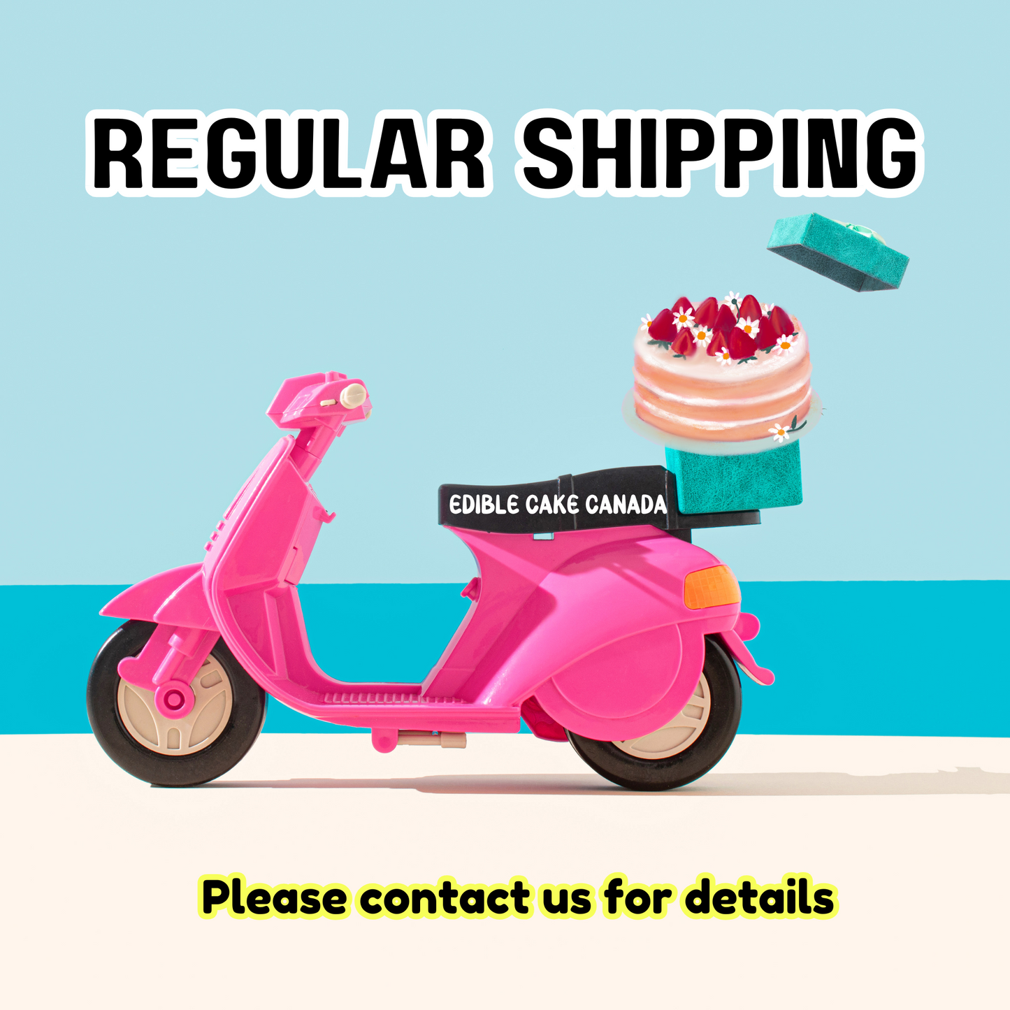 Regular Shipping : 4-10 business days