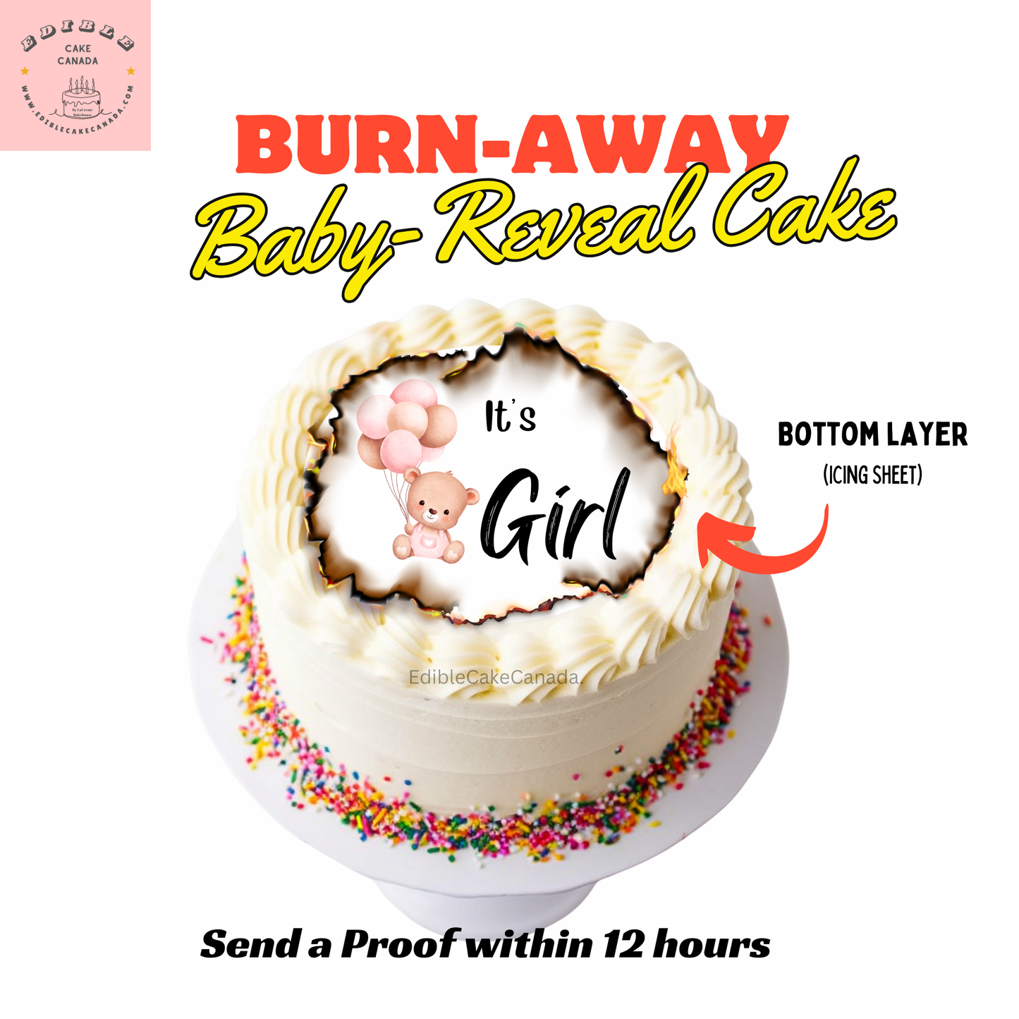 Edible Custom Burn-Away Cake Topper | Personalized Gender Reveals  Topper | Baby Reveals | Baby Shower Party Burn Away Set