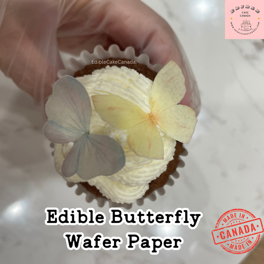 Edible Wafer Butterfly Paper | PreCut Wafer Paper 20 Pieces