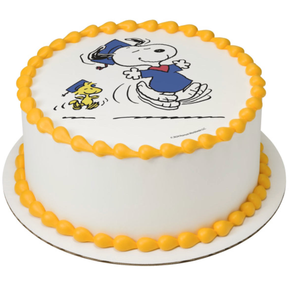 Licensed Peanuts Snoopy and Woodstock graduation PhotoCake edible image cake topper
