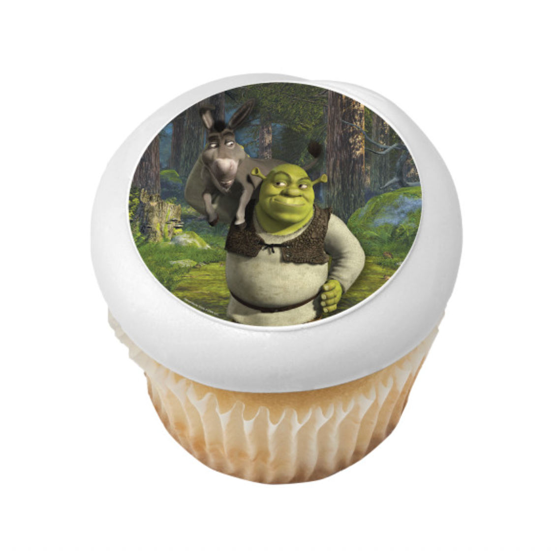 DreamWorks Shrek and Donkey Edible Cake Topper PhotoCake Canada